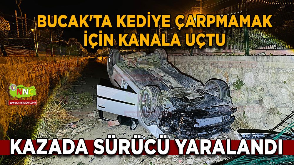 Bucak'ta kediye çarpmamak için kanala uçtu