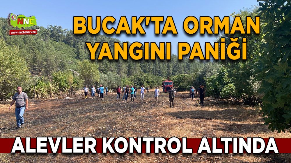 Bucak'ta orman yangını paniği Alevler kontrol altına alındı