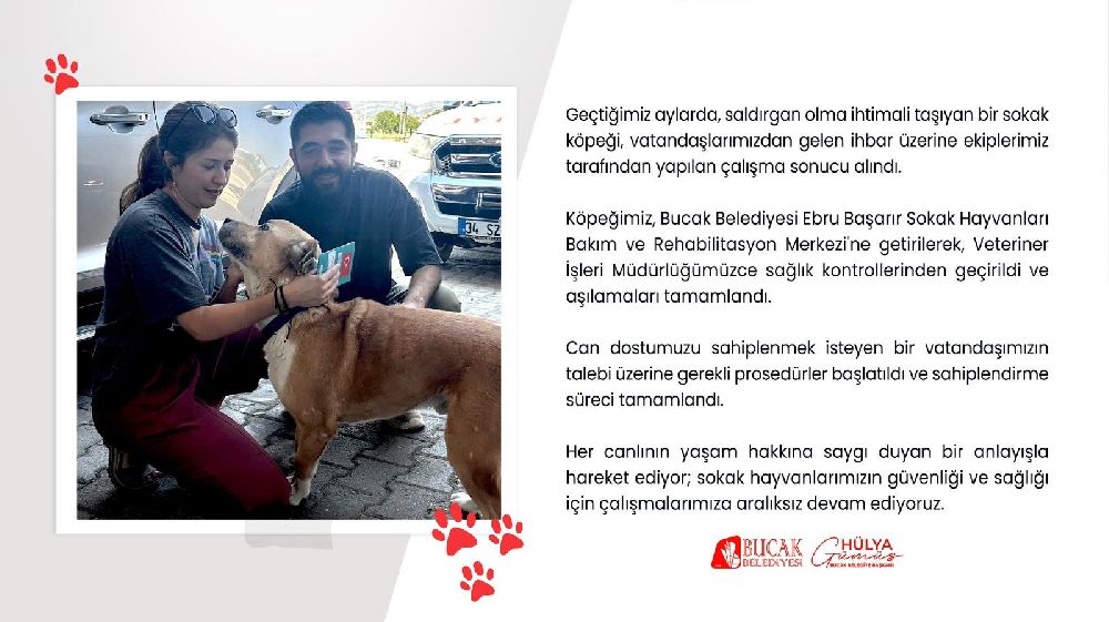 Bucak'ta şikayet sonrası Bucak Belediyesi tarafından bakıma alınmıştı! Can dost yeni yuvasına kavuştu