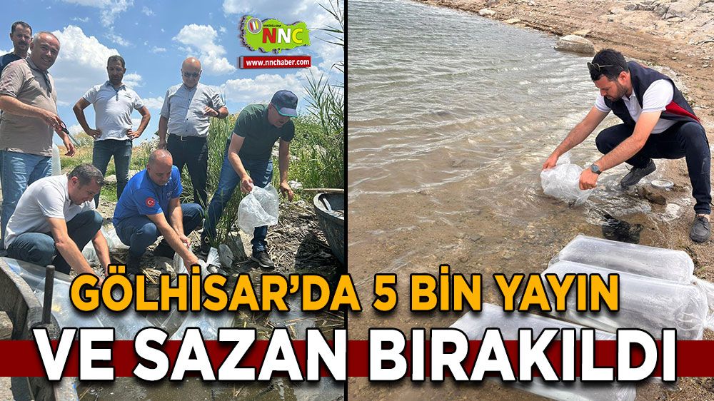 Burdur'da 5 bin yayın ve sazan bırakıldı