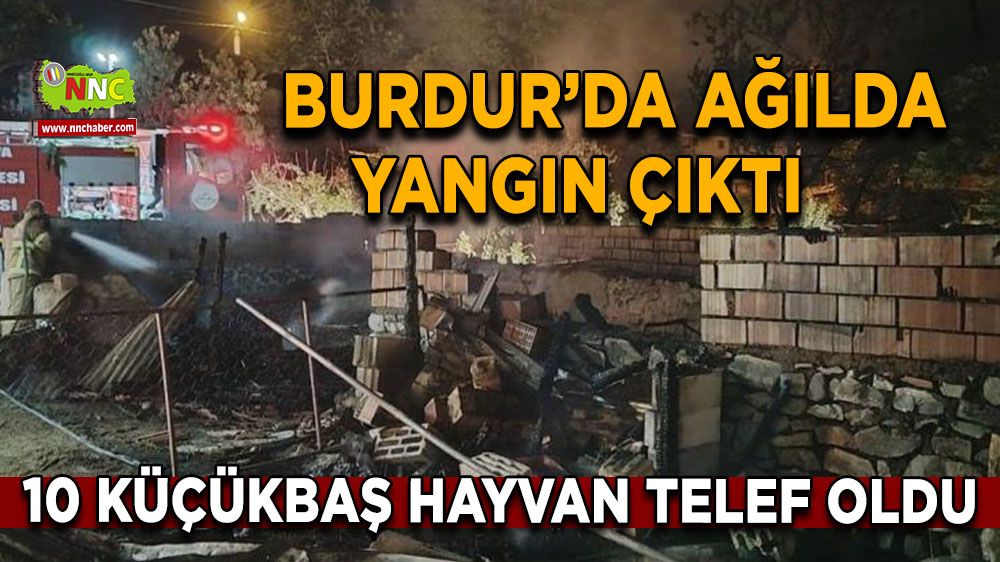 Burdur'da ağılda çıkan yangında 10 küçükbaş hayvan telef oldu