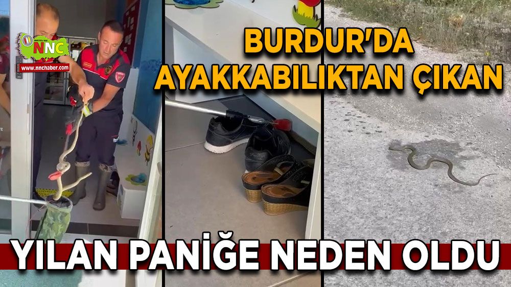 Burdur'da ayakkabılıktan çıkan yılan paniğe neden oldu