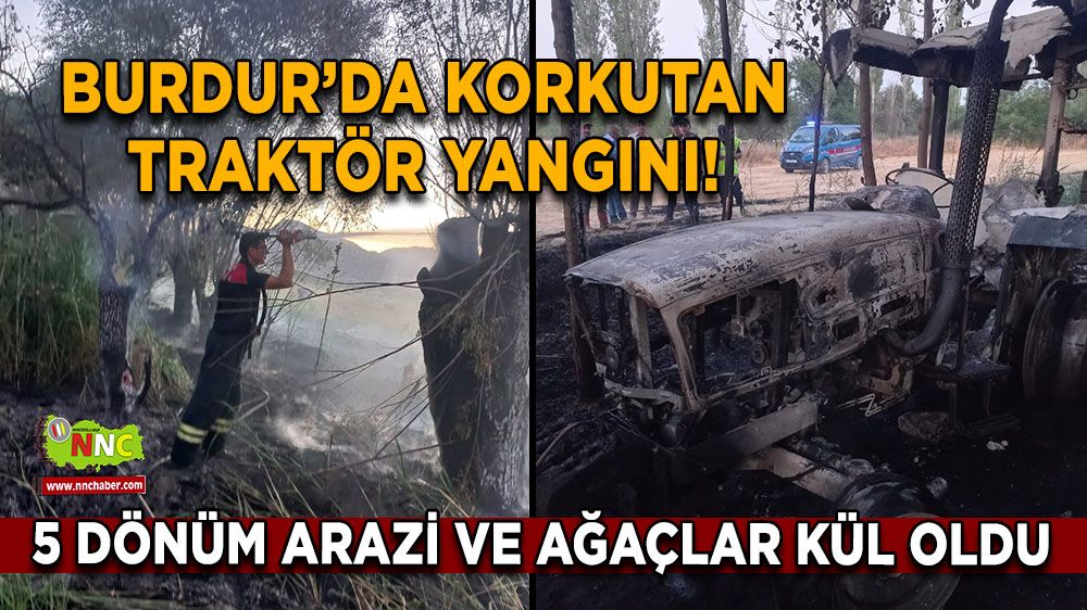 Burdur’da korkutan traktör yangını! 5 dönüm arazi ve ağaçlar kül oldu