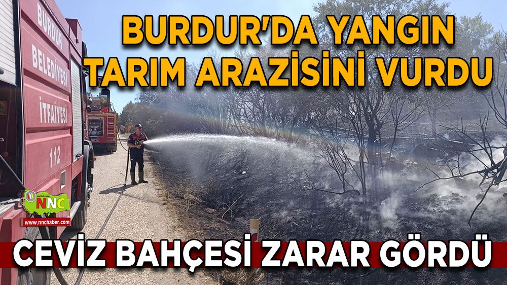 Burdur'da yangın tarım arazisini vurdu Ceviz bahçesi zarar gördü