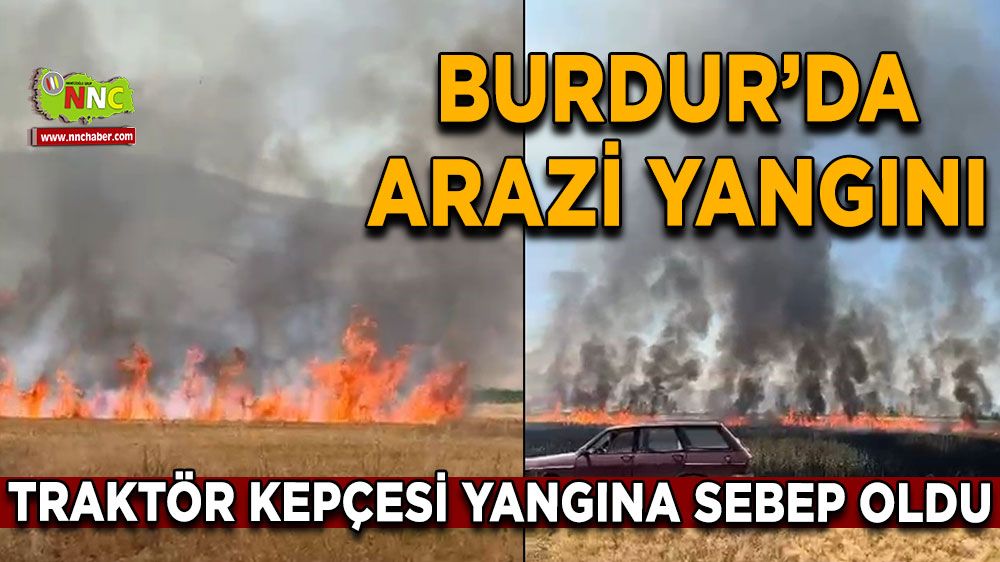 Burdur'da yangını! 50 dönüm arazi küle döndü