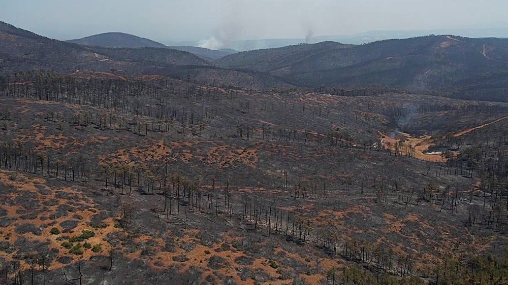 Bursa'da acı tablo: Harmancık'ta yanan yerler havadan görüntülendi
