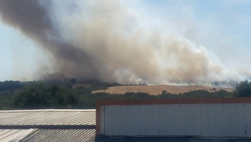 Bursa’da orman yangını