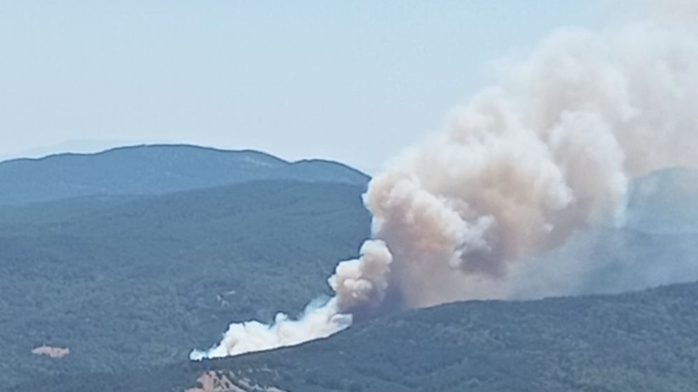 Bursa'da orman yangını: Havadan ve karadan müdahale ediliyor