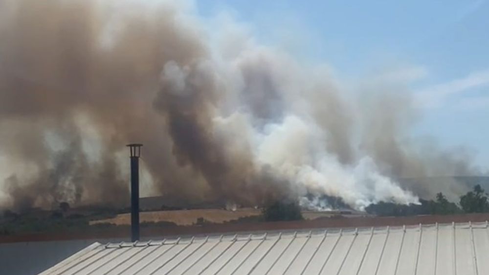 Bursa’da orman yangını