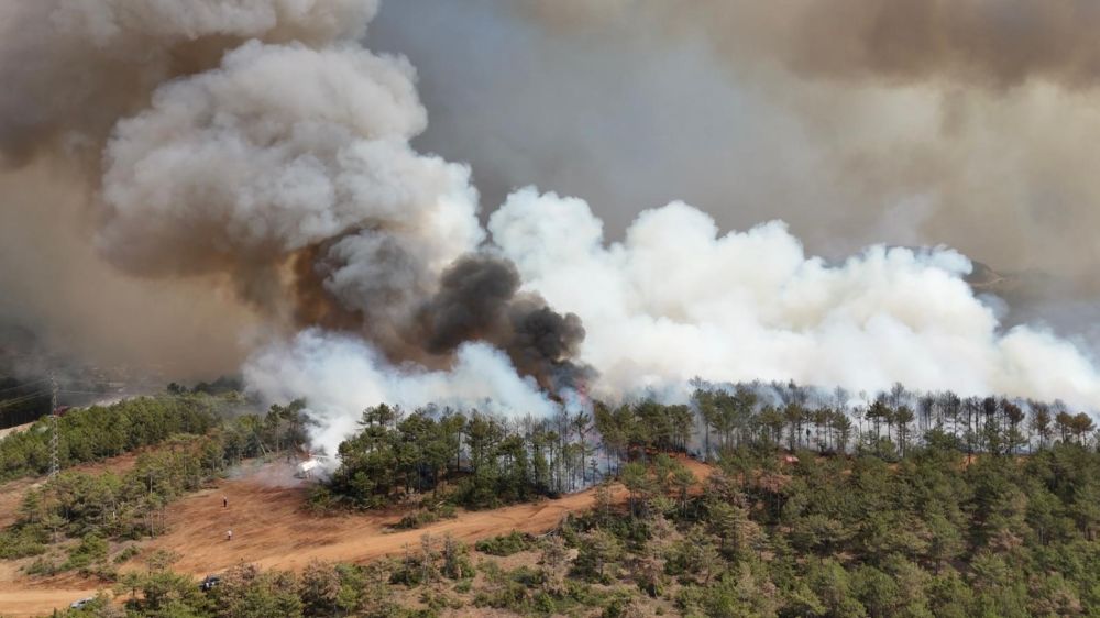  Bursa Valiliği: "712 araç ve bin 496 personelle yangına müdahale ediliyor"