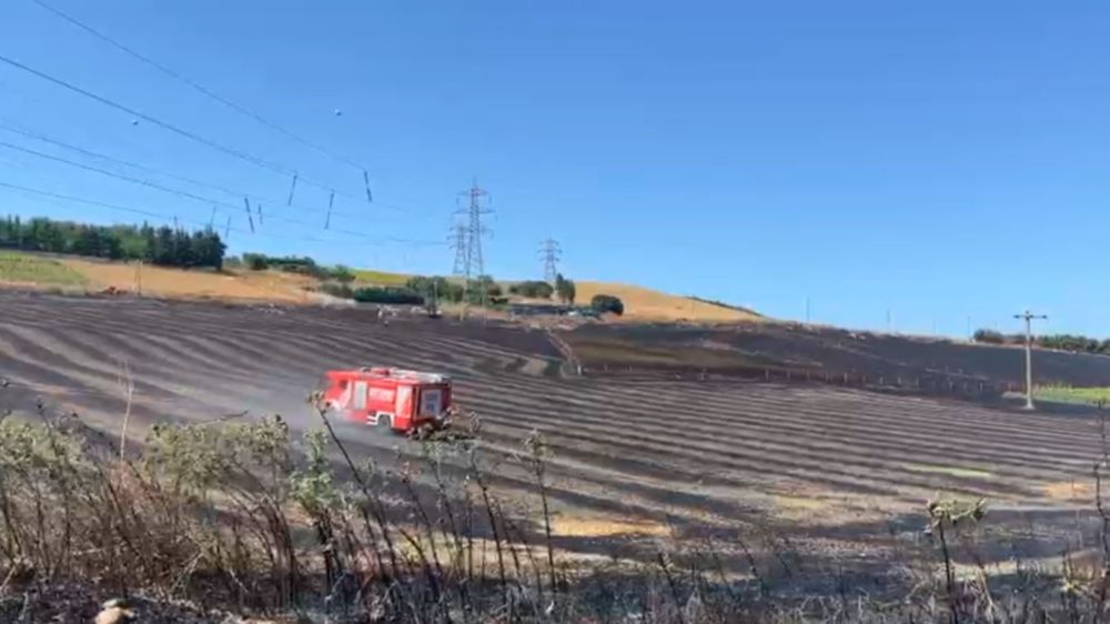 Büyükçekmece'de tarlada yangın: Alevler evlere sıçramadan söndürüldü