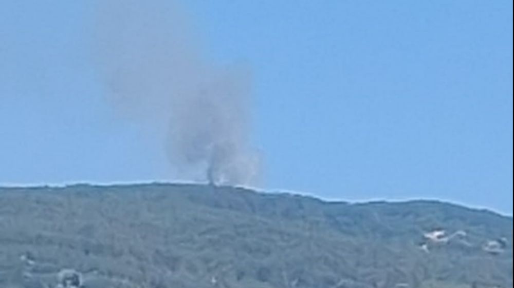  Çine'de orman yangını