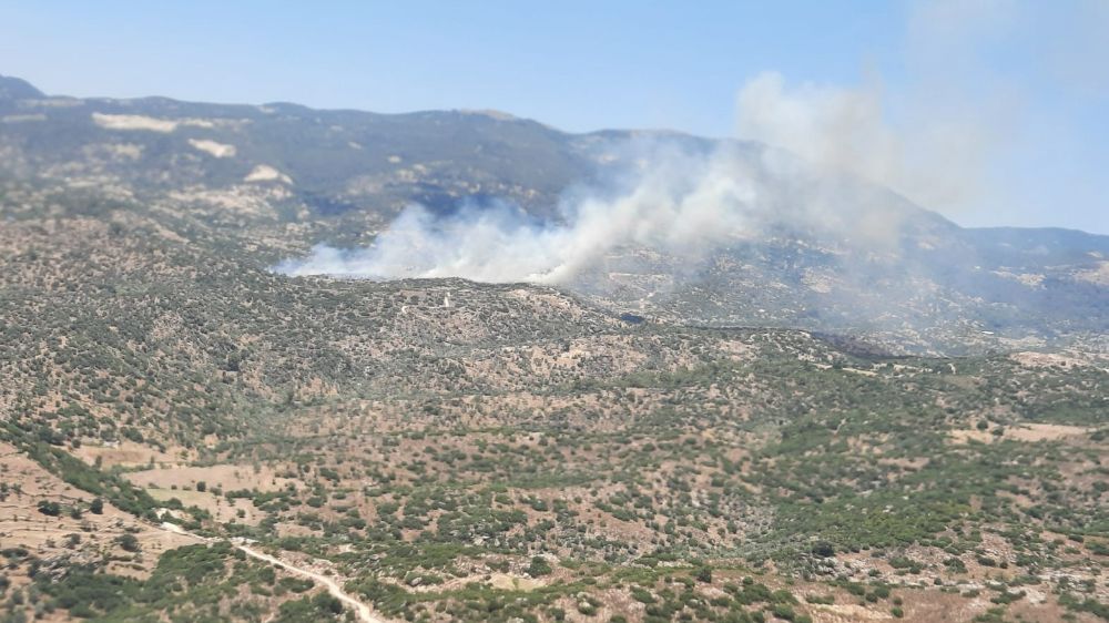 Çine'deki yangın kontrol altına alındı