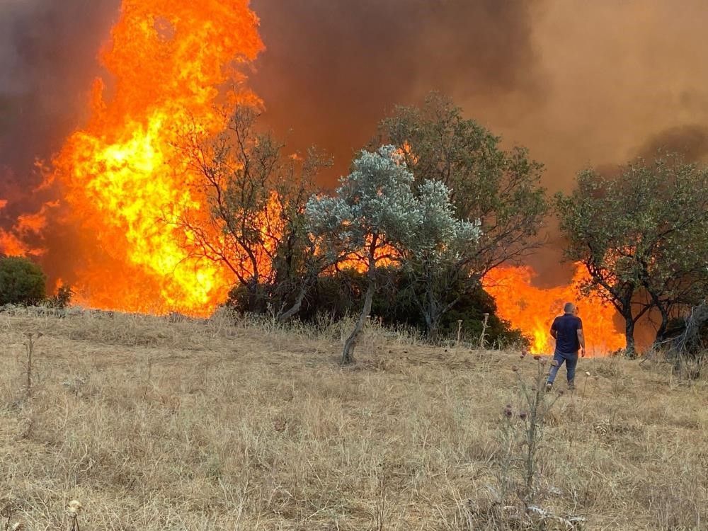 Çoban ve sürünün girdiği alanlar orman yangınlardan etkilenmedi işte nedeni