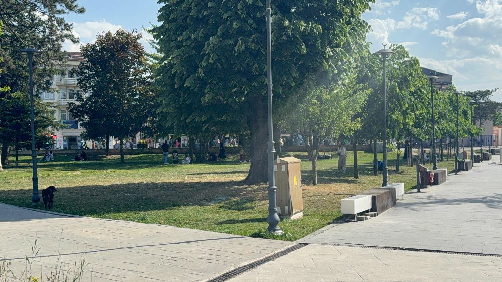 Çocuklarda böcek ısırmalarına dikkat