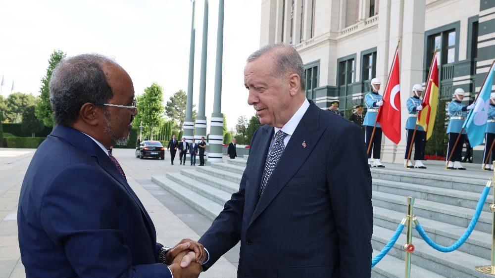 Cumhurbaşkanı Erdoğan, Somali Cumhurbaşkanı Mahmud ile görüştü