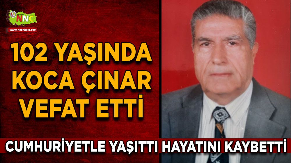 Cumhuriyetle yaşlı çınar hayatını kaybetti