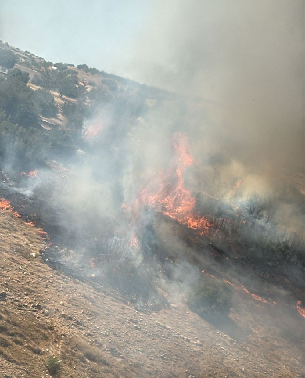 Dağlık alanda korkutan yangın