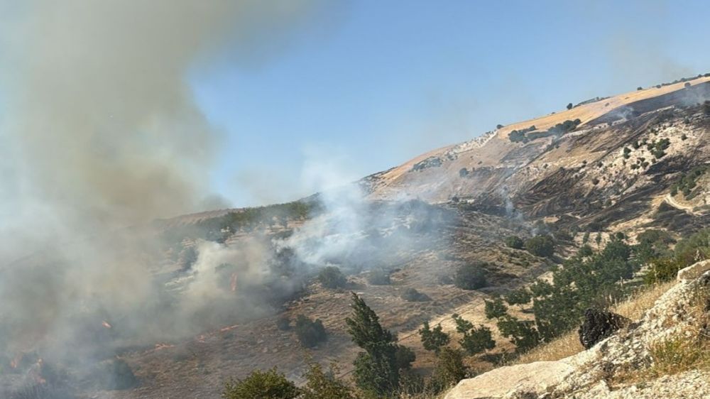 Dağlık alanda korkutan yangın