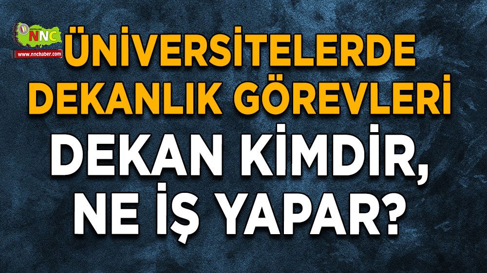 Dekan kimdir, ne iş yapar? Üniversitelerde dekanlık görevleri
