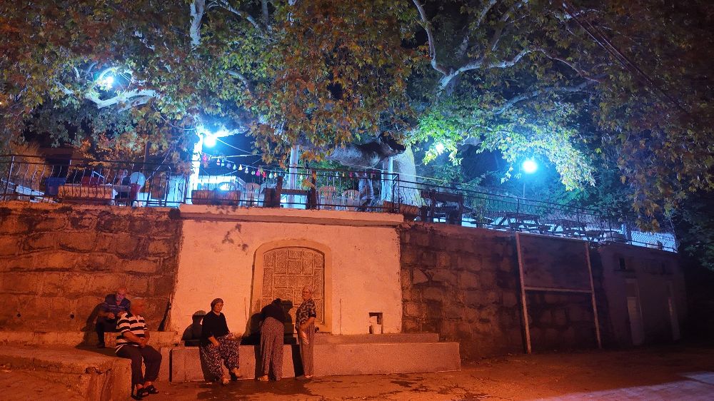 Demirci’de 2 bin yıllık anıt çınarda odun ateşinde çay