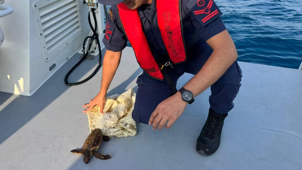 Denizde çuvala dolanmış halde bulunan yeşil deniz kaplumbağası kurtarıldı