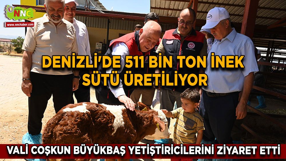 Denizli'de 511 bin ton inek sütü üretiliyor