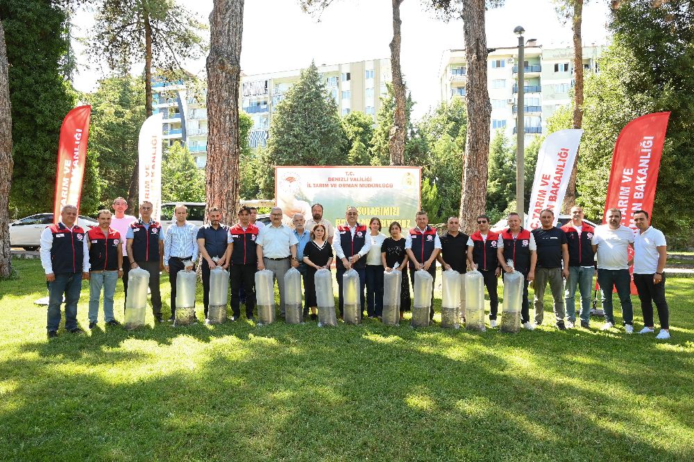 Denizli’de göl ve göletlere 1 milyon sazan yavrusu bırakıldı