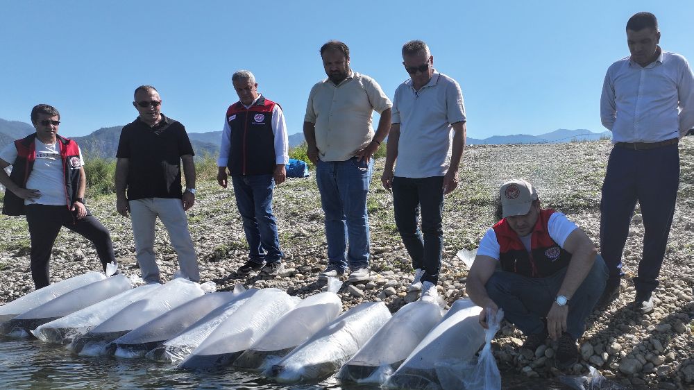 Denizli’de göl ve göletlere 1 milyon sazan yavrusu bırakıldı
