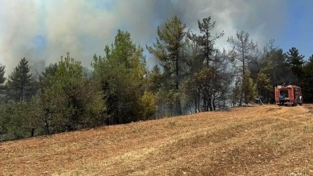 Denizli'de saman basma makinasından başlayan yangın kısa sürede kontrol altına alındı