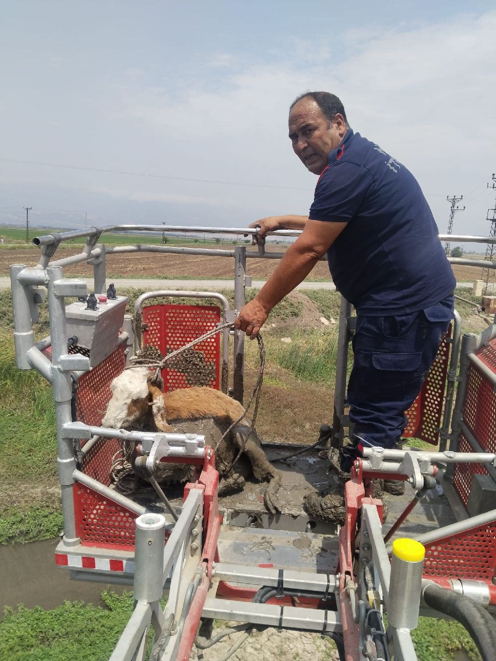 Derede çamura saplanan koyunu itfaiye ekipleri kurtardı