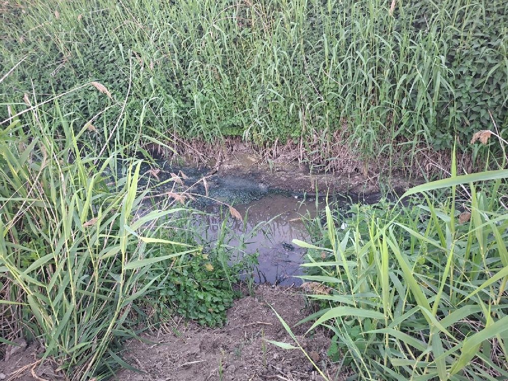 Dereye akan lağım suyu, mahalleliyi nefes alamaz hale getirdi