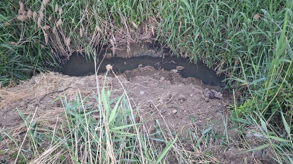 Dereye akan lağım suyu, mahalleliyi nefes alamaz hale getirdi