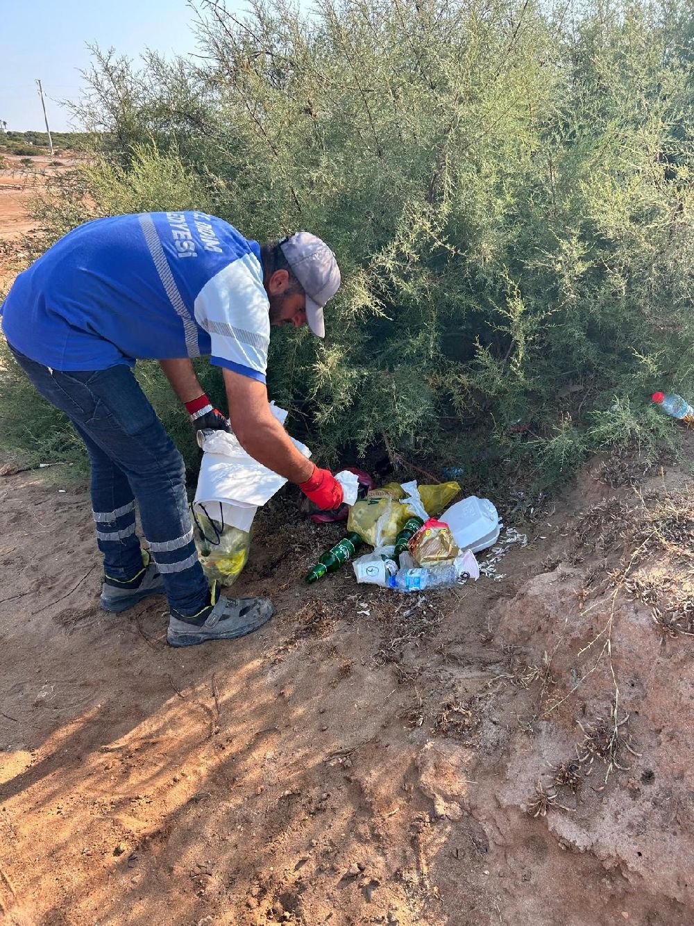 Didim Belediyesi sahil temizliğini aralıksız sürdürüyor