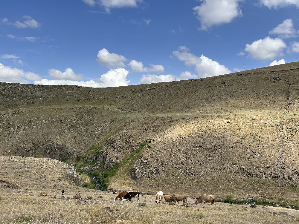 Diyadin'in Yıldızlı Şelalesi doğaseverlerin ilgisini çekiyor