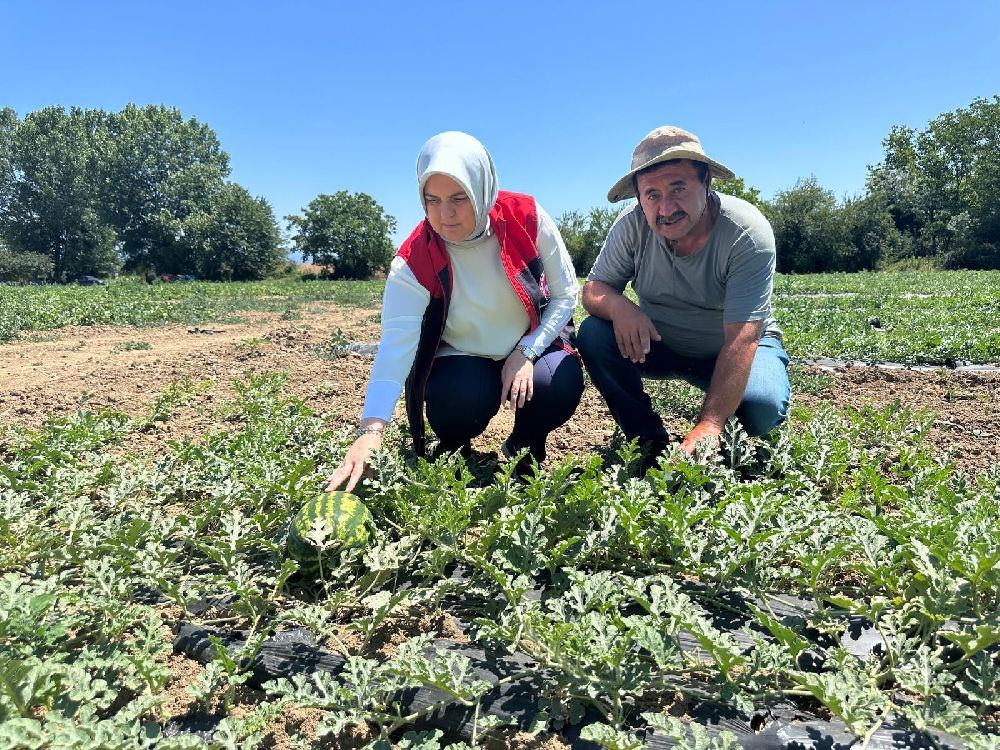 Düzce’de üretilen dondurma kavunları Antalya pazarlarında