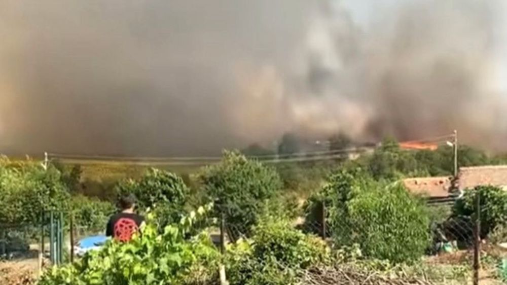  Edirne'de 30 dönümlük buğday tarlası alev alev yandı