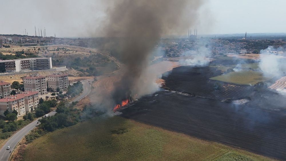 Edirne'de anız yangını yerleşim bölgesine metreler kala söndürüldü