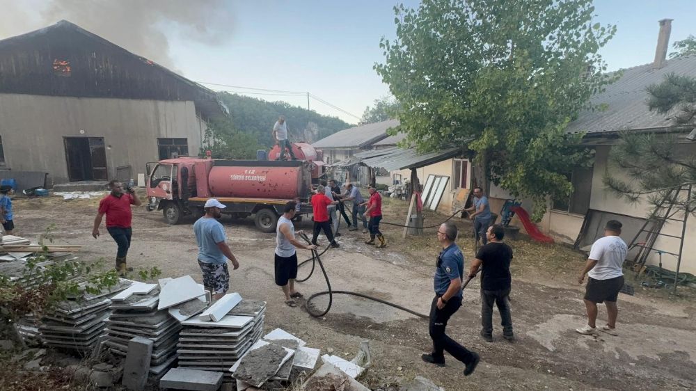 Eğirdir'de trafodaki tellere temas eden sincap, 1 depo ile 2 dönümlük araziyi küle çevirdi