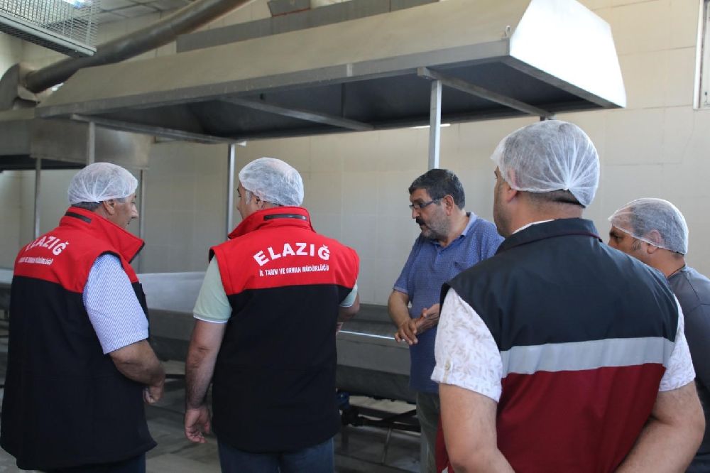 Elazığ'da kırmızı et kesimhaneleri denetlendi