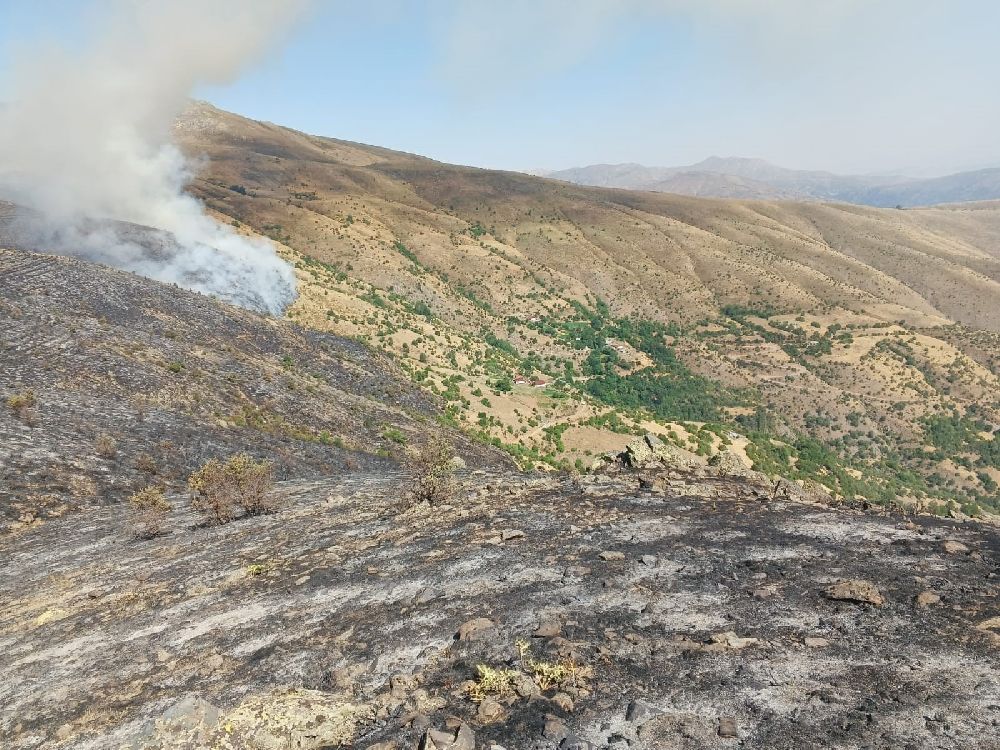Elazığ'da yeniden başlayan örtü yangınına müdahale ediliyor