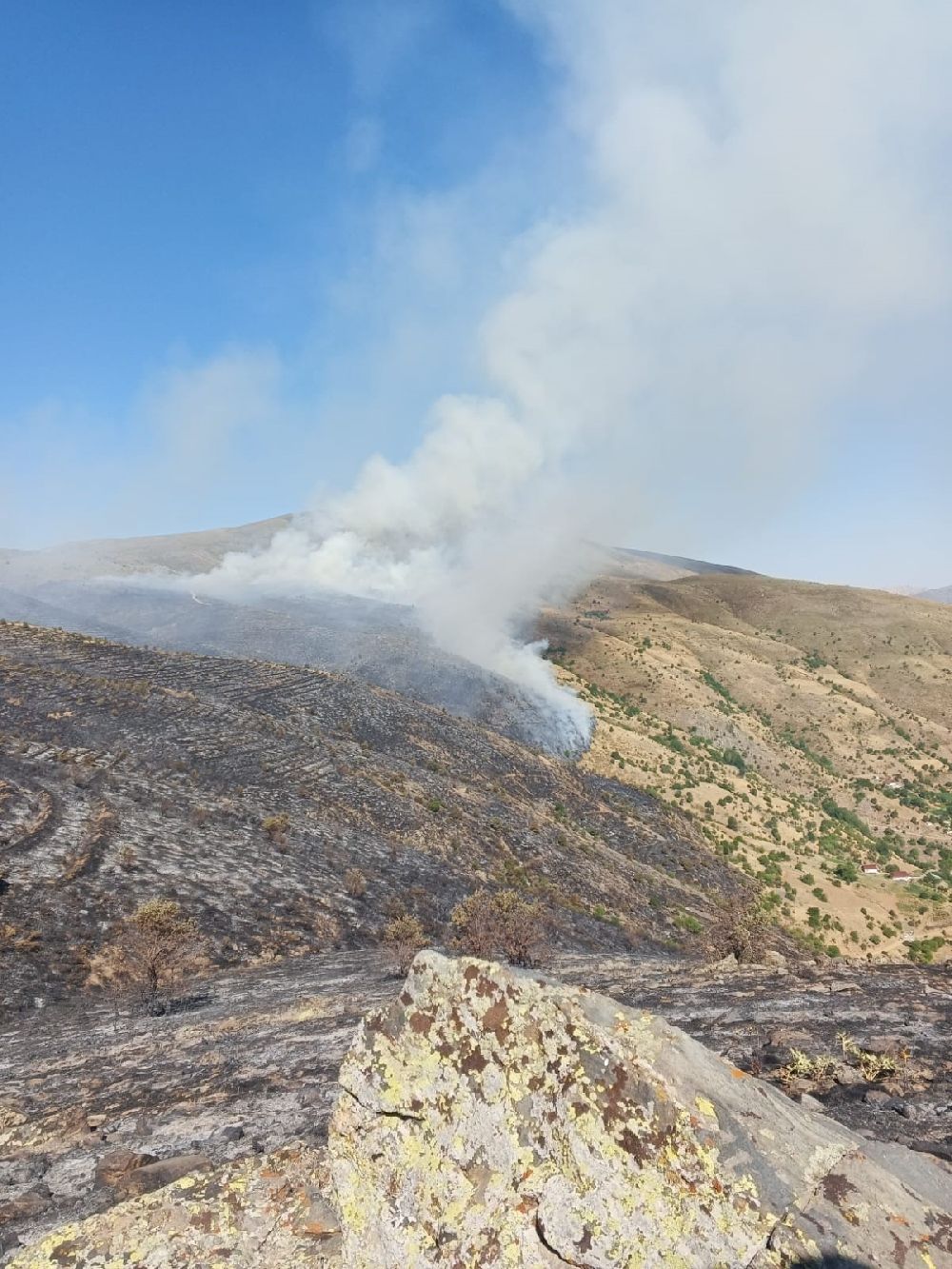 Elazığ'da yeniden başlayan örtü yangınına müdahale ediliyor
