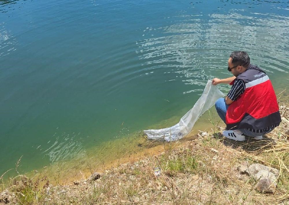 Emet’te baraj ve göletlere 40 bin 700 aynalı sazan balığı yavrusu bırakıldı