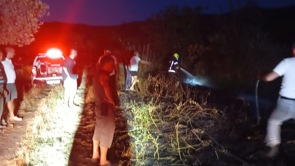 Erdek’te böğürtlenlik alanda çıkan yangın söndürüldü