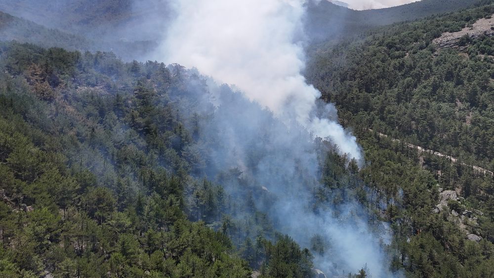 Eskişehir'deki yangının 30'uncu saatinde kontrol altına alın bazı bölgelerde yeniden alevler yükseldi