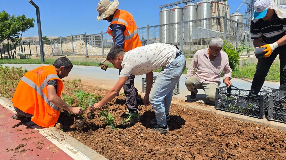 Eyyübiye’nin Çiçekleri Eyyübiye Serakent’ten