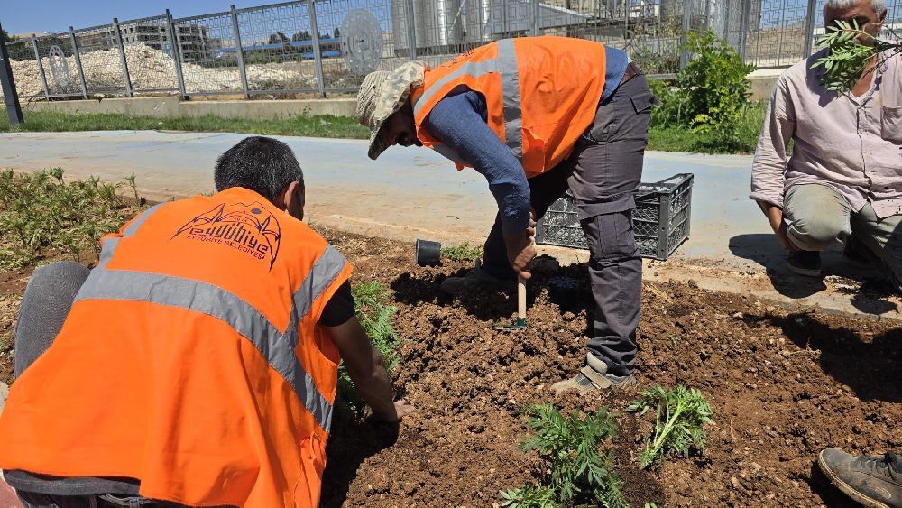 Eyyübiye’nin Çiçekleri Eyyübiye Serakent’ten