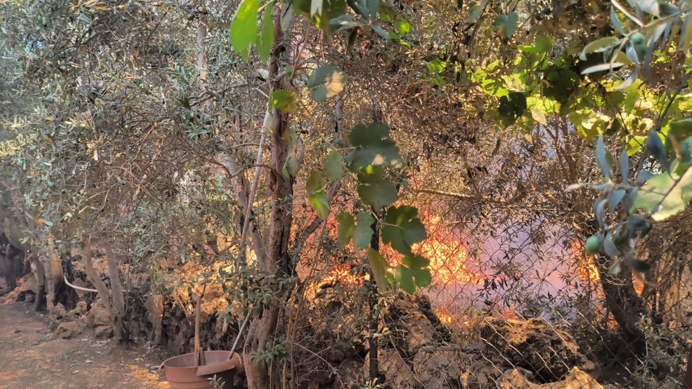 Farklı noktalarda çıkan otluk ve ağaçlık yangını evlere birkaç metre kala söndürüldü