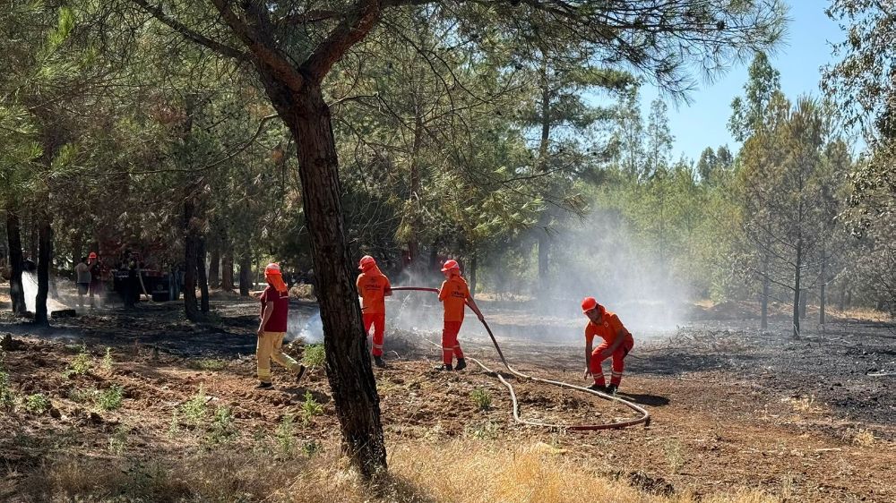 Fethiye'deki yangının etrafı çevrildi