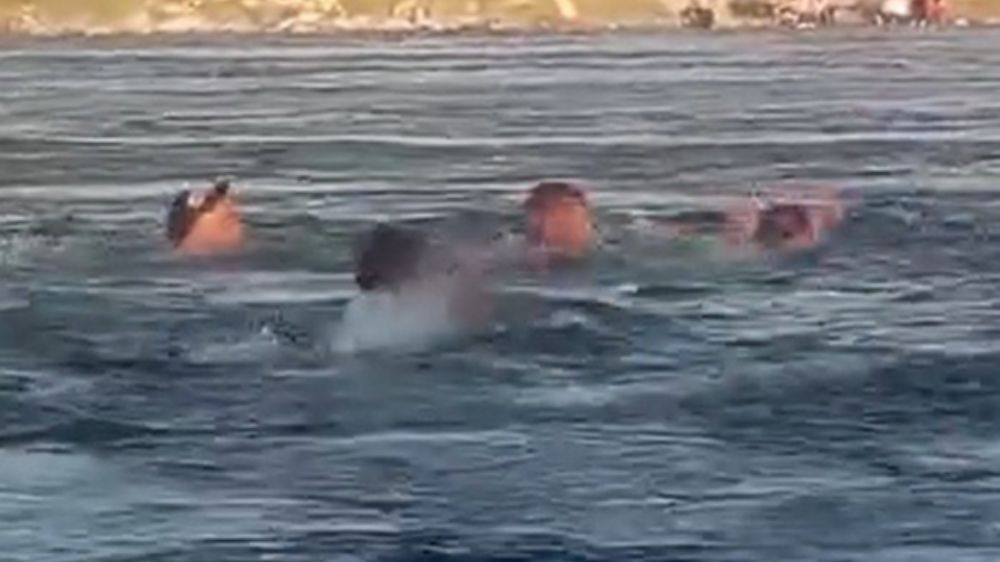 Fırat Nehri'nde 3 kişi boğulmaktan son anda kurtardı